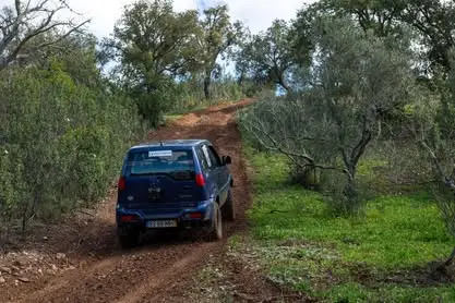 Foto 415