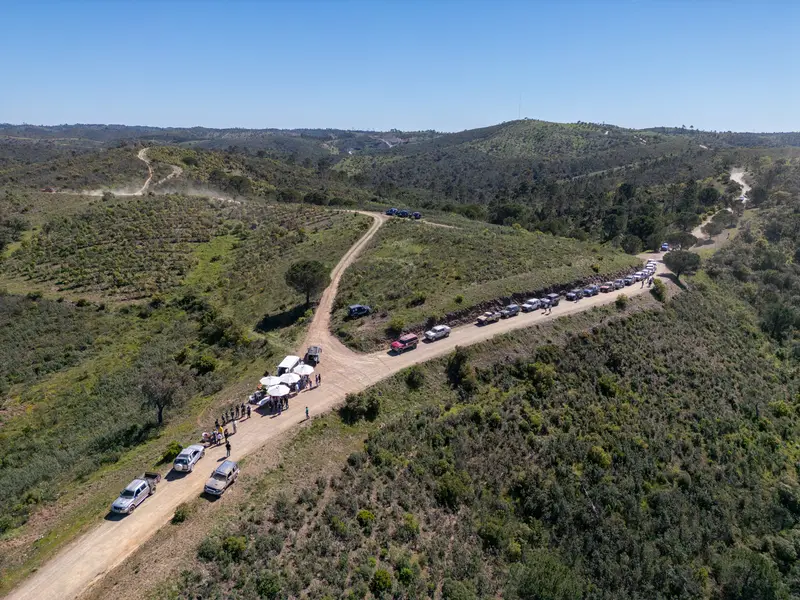 Foto 298